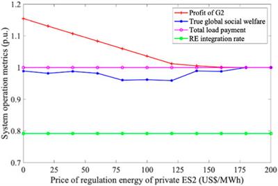 Market equilibrium with strategic pricing and strategic constraints in renewable energy: the role of private energy storage